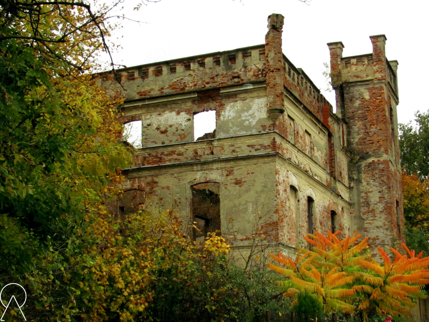 Ruiny pałacu - Mietków